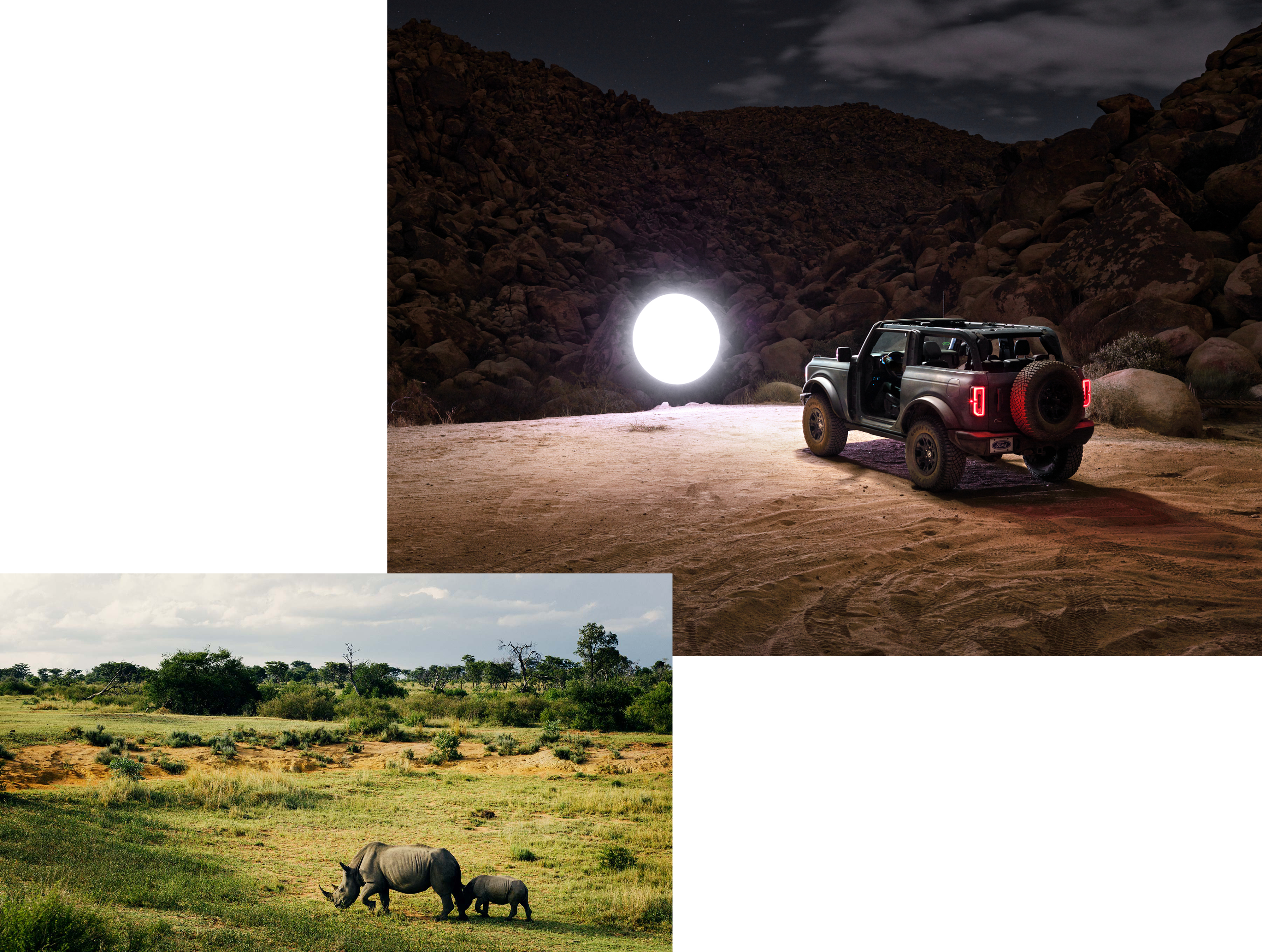 Rhino with baby and bronco in desert